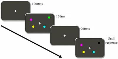 Spatial Recognition Memory: Differential Brain Strategic Activation According to Sex